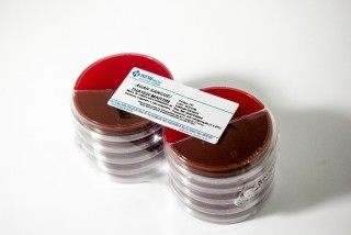 Imagem para o produto Agar Sangue/Thayer Martin pcte c/ 10 biplacas 90x15mm