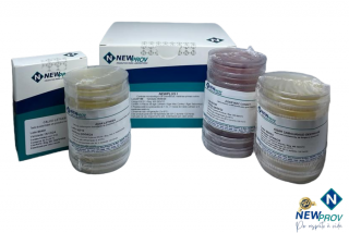 Imagem para o produto Newplus I cx c/ 08 testes